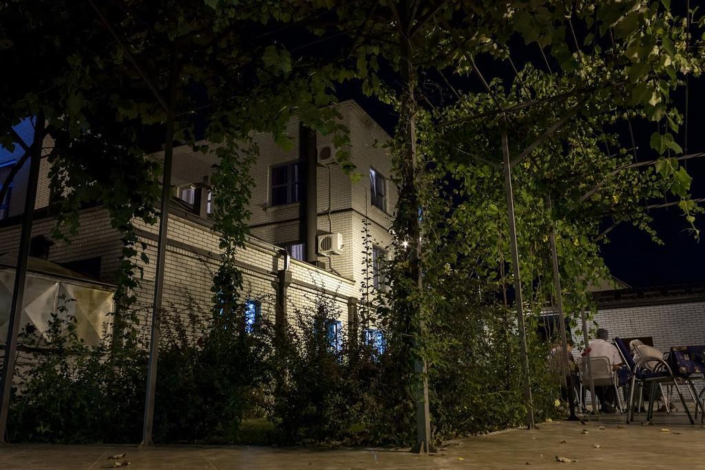 Vila Lux Milikic Кралево Екстер'єр фото
